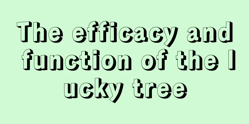 The efficacy and function of the lucky tree