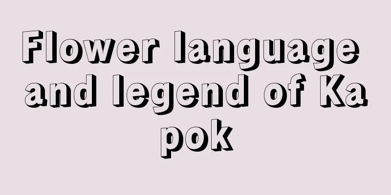 Flower language and legend of Kapok