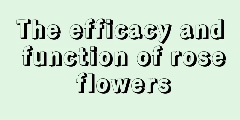 The efficacy and function of rose flowers