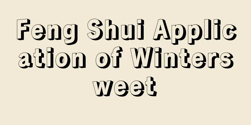 Feng Shui Application of Wintersweet