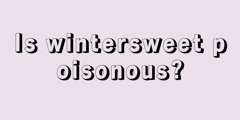 Is wintersweet poisonous?