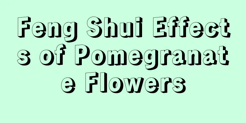 Feng Shui Effects of Pomegranate Flowers