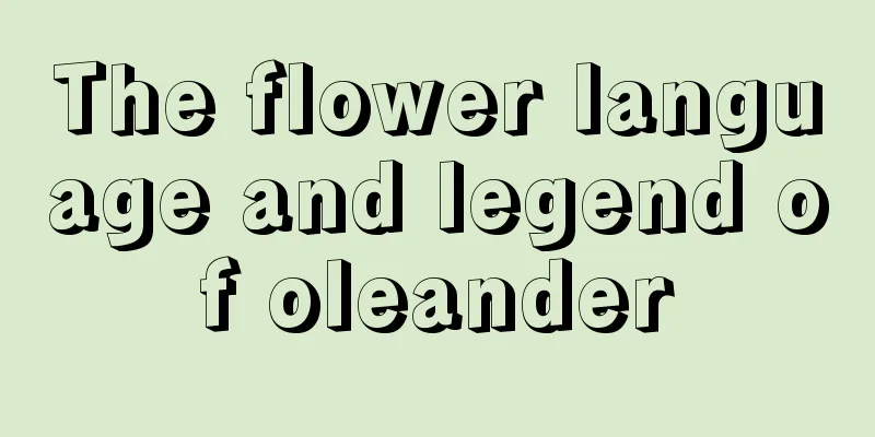 The flower language and legend of oleander