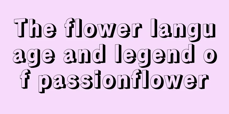 The flower language and legend of passionflower