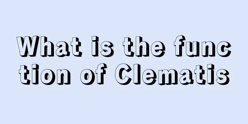 What is the function of Clematis