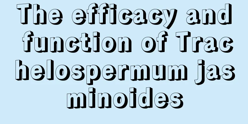 The efficacy and function of Trachelospermum jasminoides