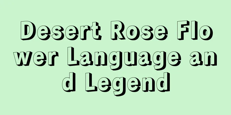 Desert Rose Flower Language and Legend