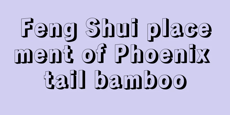 Feng Shui placement of Phoenix tail bamboo