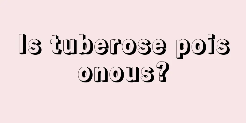 Is tuberose poisonous?