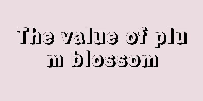 The value of plum blossom