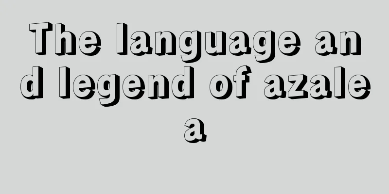 The language and legend of azalea