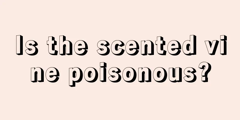 Is the scented vine poisonous?