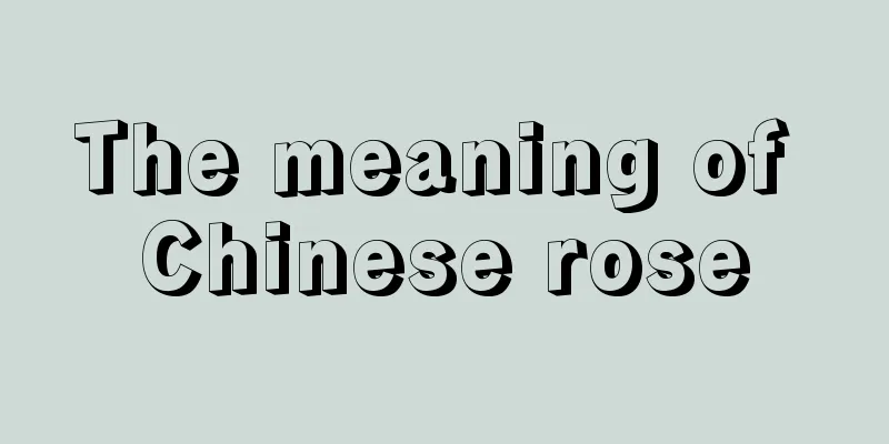 The meaning of Chinese rose