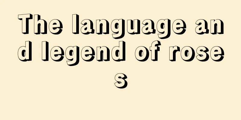 The language and legend of roses