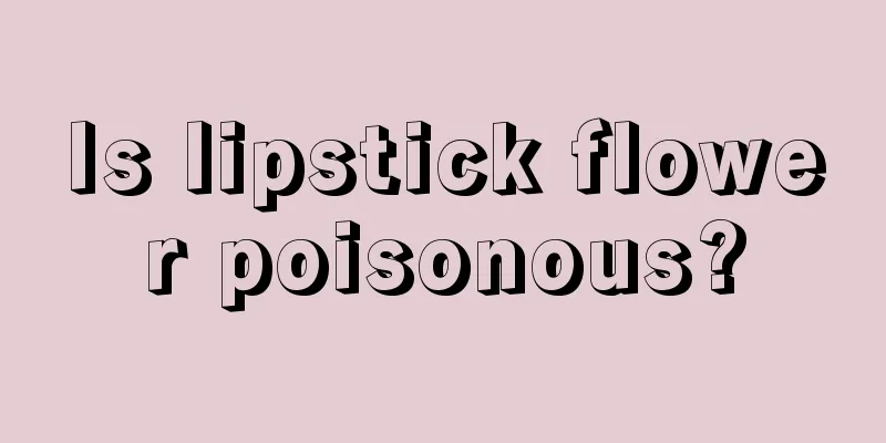 Is lipstick flower poisonous?