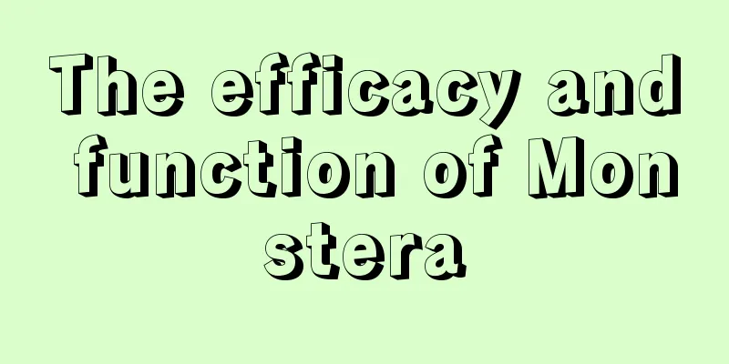 The efficacy and function of Monstera