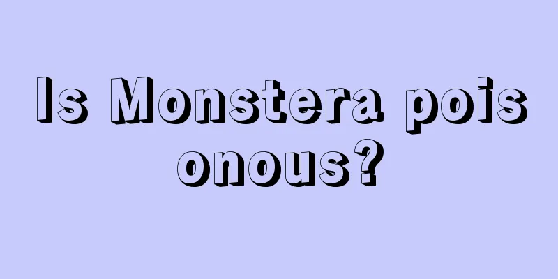 Is Monstera poisonous?