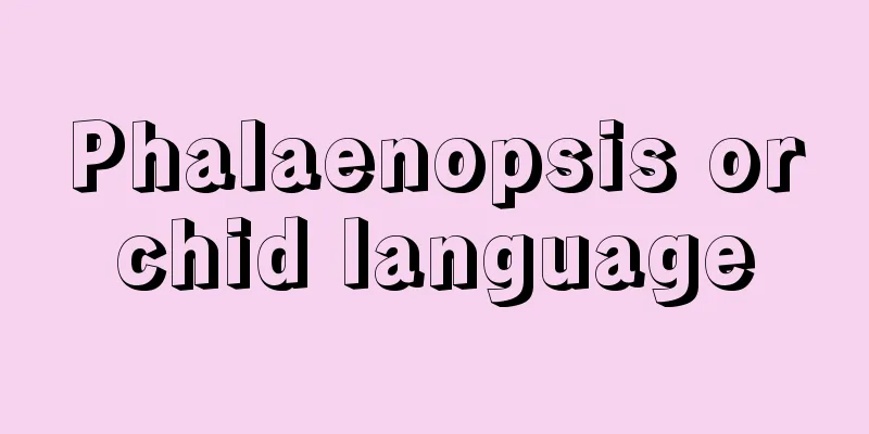 Phalaenopsis orchid language