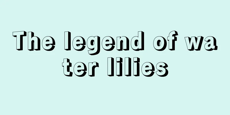 The legend of water lilies