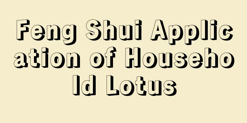 Feng Shui Application of Household Lotus