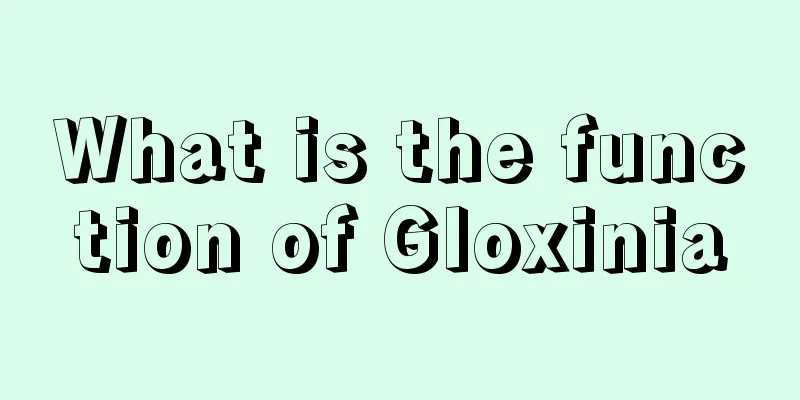 What is the function of Gloxinia