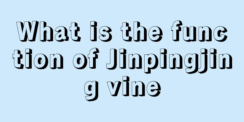 What is the function of Jinpingjing vine