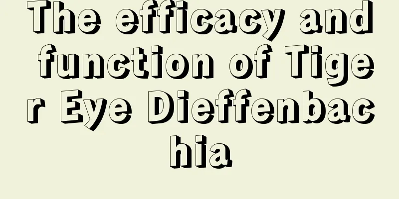 The efficacy and function of Tiger Eye Dieffenbachia