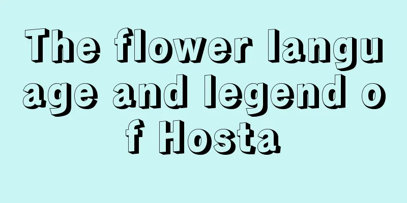 The flower language and legend of Hosta