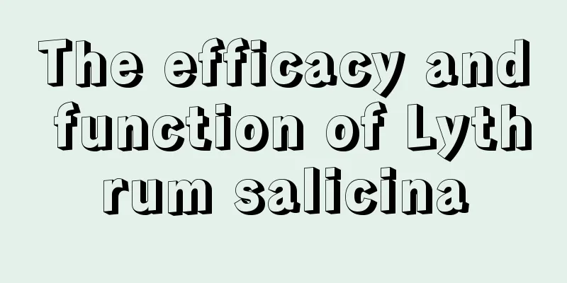 The efficacy and function of Lythrum salicina