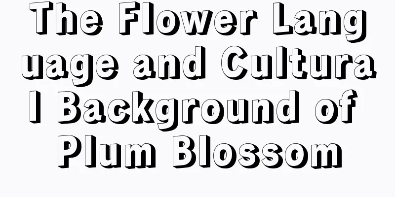 The Flower Language and Cultural Background of Plum Blossom