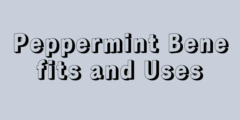 Peppermint Benefits and Uses