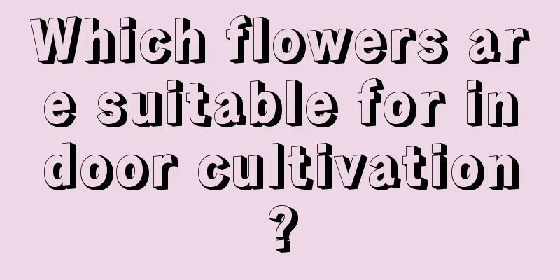 Which flowers are suitable for indoor cultivation?