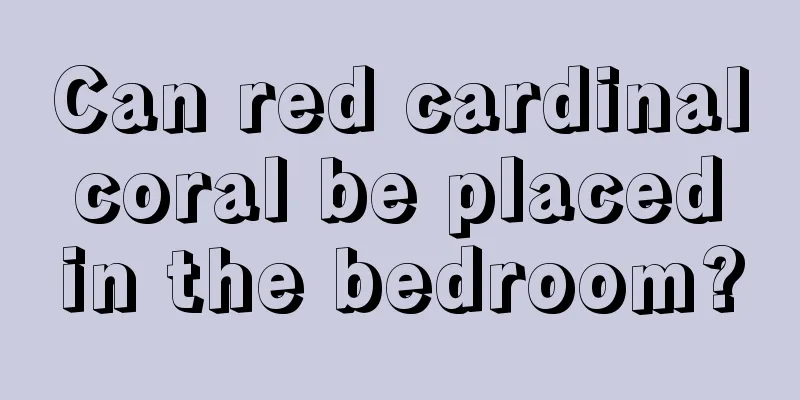 Can red cardinal coral be placed in the bedroom?