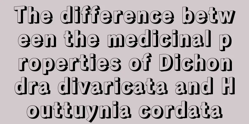 The difference between the medicinal properties of Dichondra divaricata and Houttuynia cordata