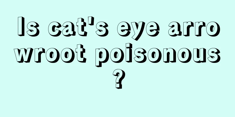 Is cat's eye arrowroot poisonous?