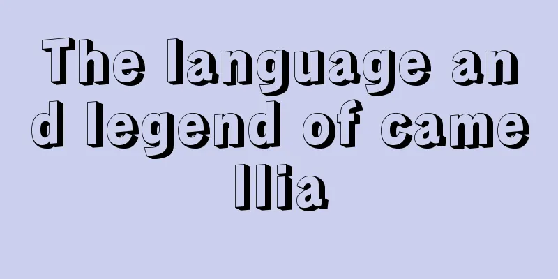 The language and legend of camellia