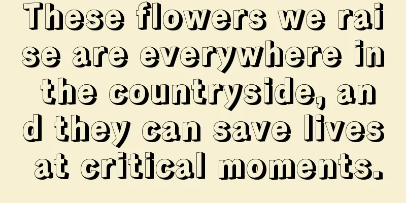 These flowers we raise are everywhere in the countryside, and they can save lives at critical moments.