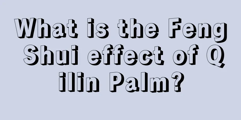 What is the Feng Shui effect of Qilin Palm?