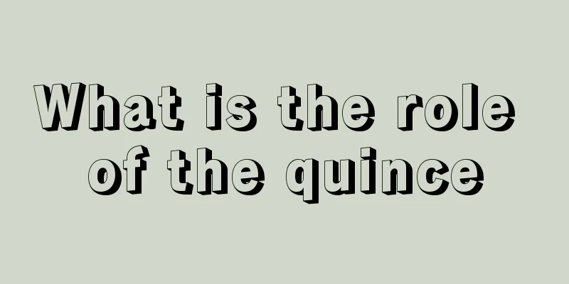 What is the role of the quince