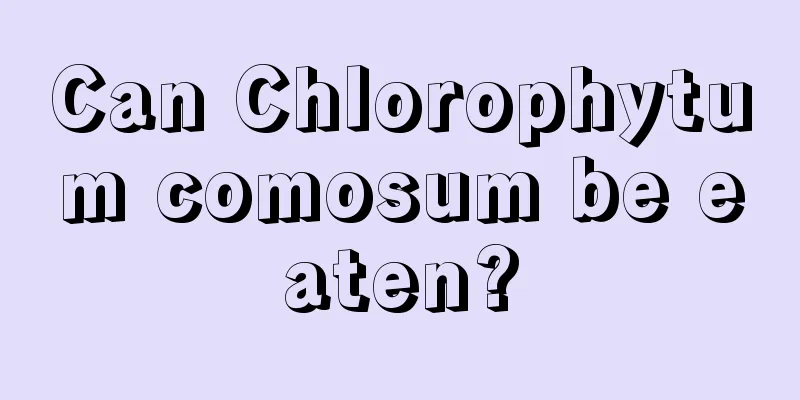 Can Chlorophytum comosum be eaten?