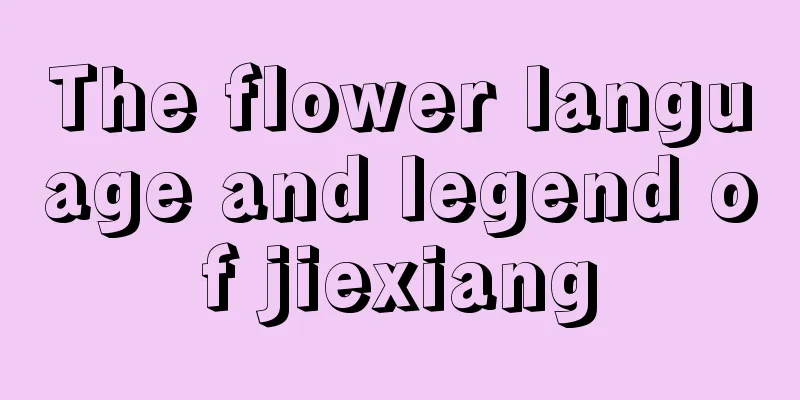 The flower language and legend of jiexiang