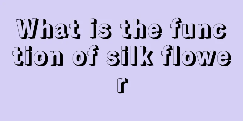 What is the function of silk flower