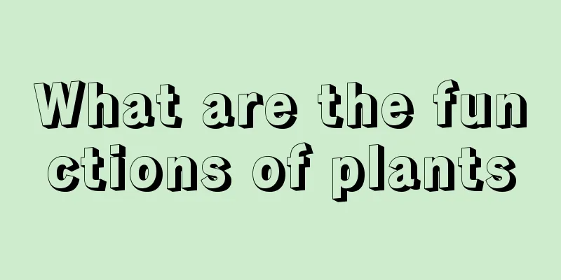 What are the functions of plants