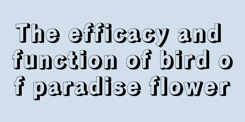 The efficacy and function of bird of paradise flower