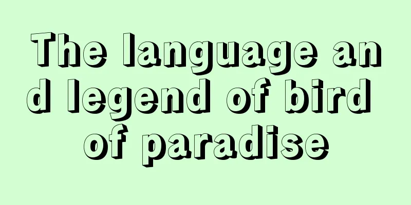 The language and legend of bird of paradise