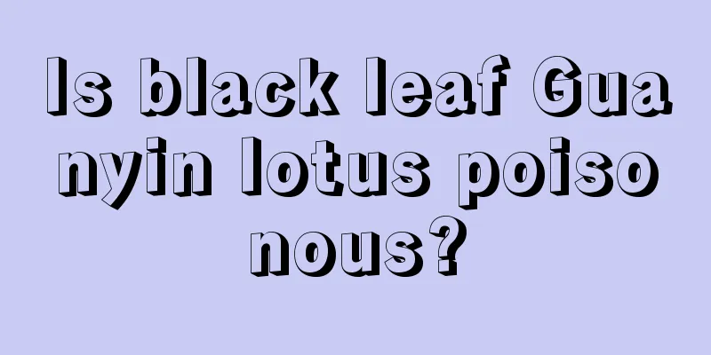 Is black leaf Guanyin lotus poisonous?