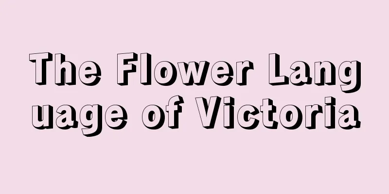 The Flower Language of Victoria