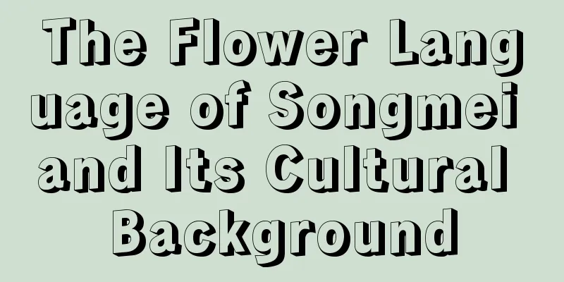 The Flower Language of Songmei and Its Cultural Background