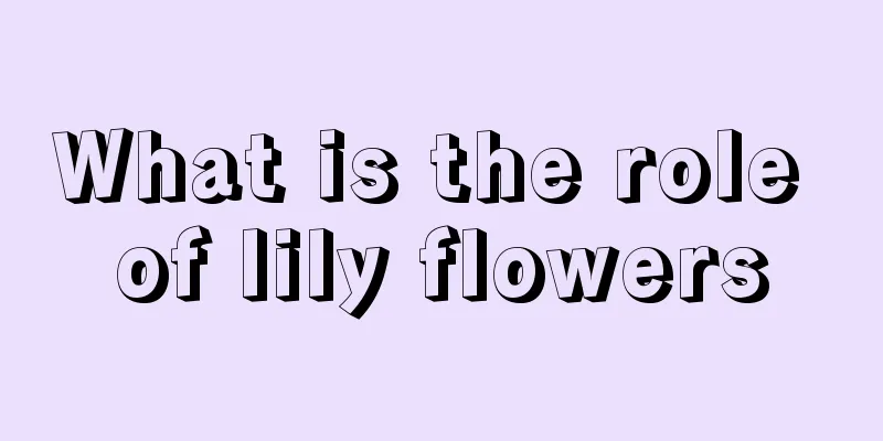 What is the role of lily flowers