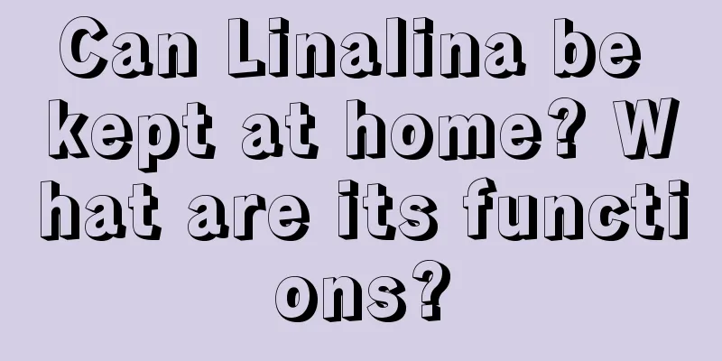 Can Linalina be kept at home? What are its functions?